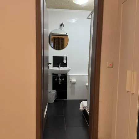 Guest house Hotel-pension Alt-heidenberg