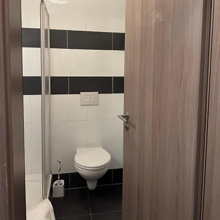 Hotel-pension Alt-heidenberg Guest house