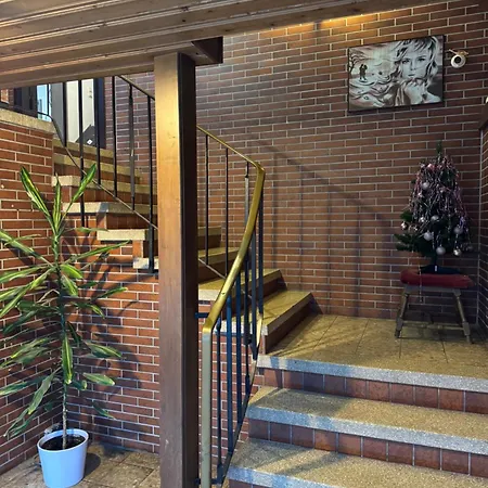 Guest house Hotel-pension Alt-heidenberg