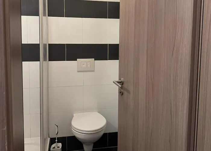 Hotel-pension Alt-heidenberg Affittacamere